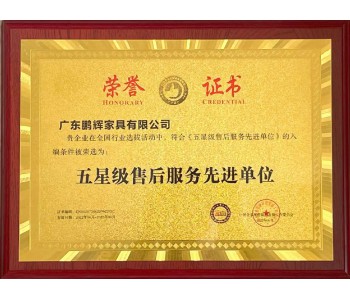 五星級售后服務先進單位